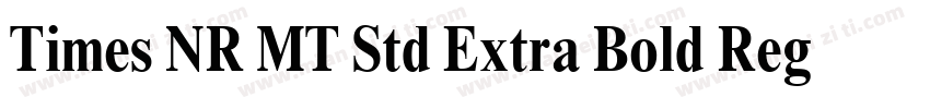 Times NR MT Std Extra Bold Regular字体转换
